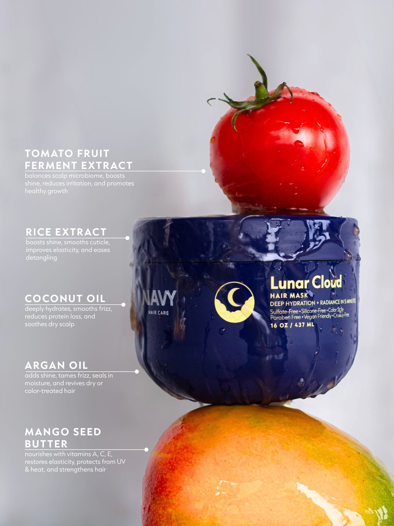 Lunar Cloud Hair Mask